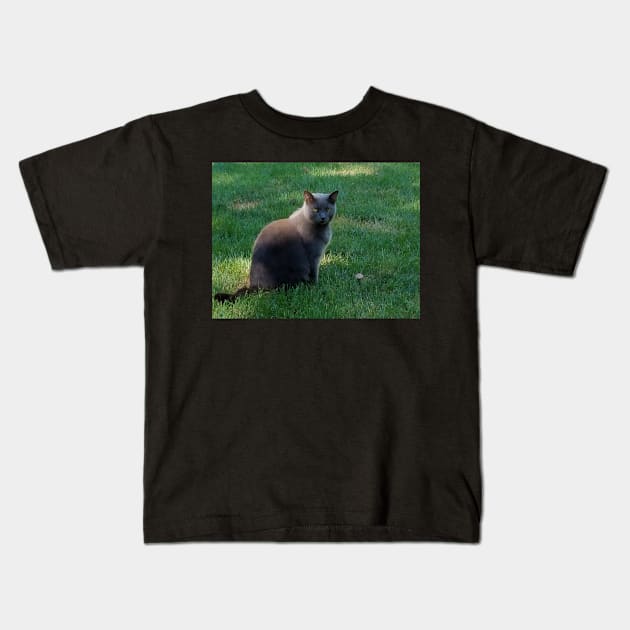 Aphrodite The Cat Kids T-Shirt by DracusDark